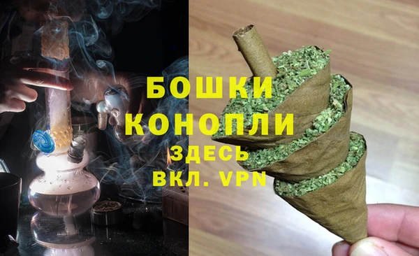 mix Белокуриха