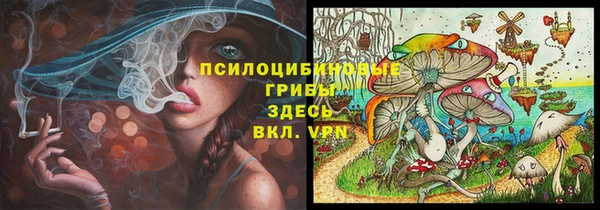 mix Белокуриха
