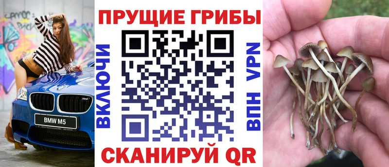 Псилоцибиновые грибы мухоморы  Окуловка 